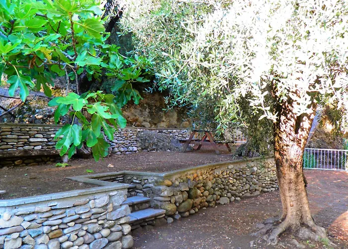 Blue 부사나 누오바